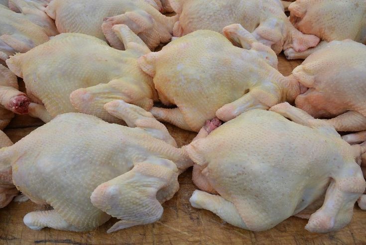 poulet