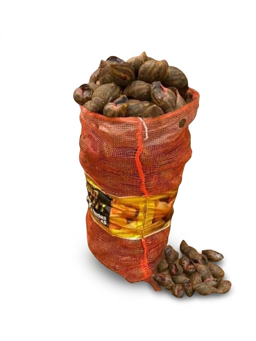 FILET D'ESCARGOT ROUGE 1 SAC (SOUBRE)