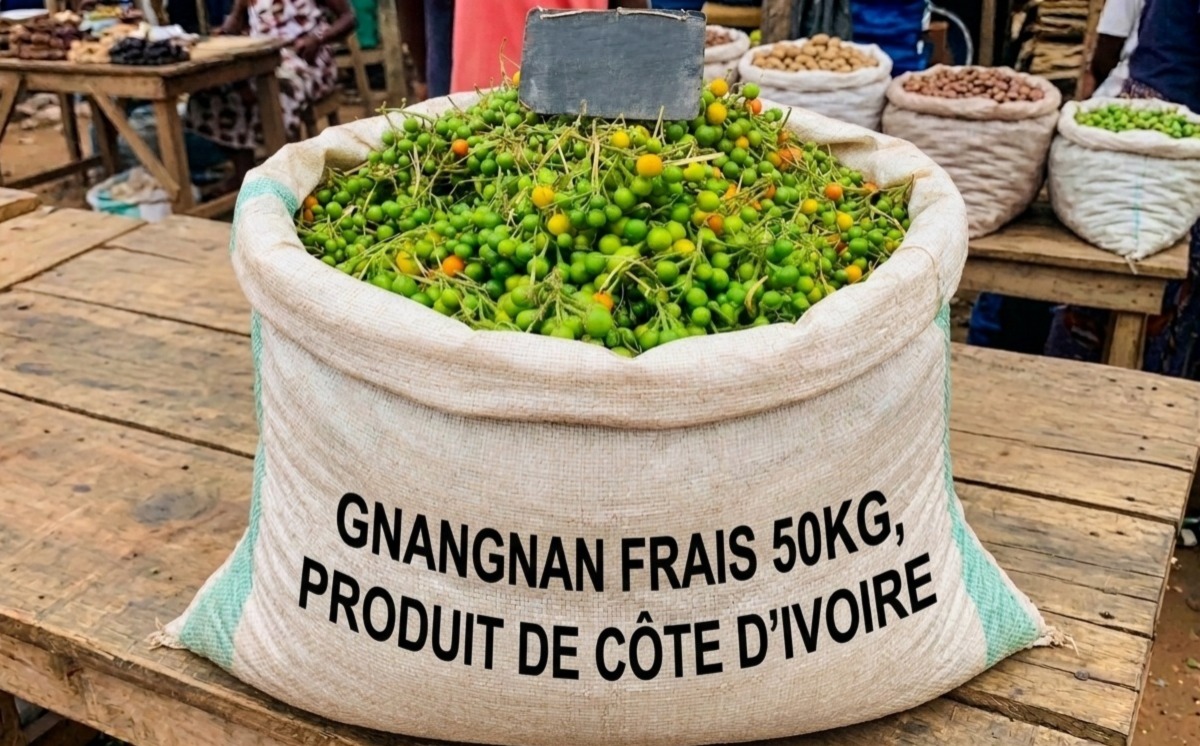 GNANANAN FRAIS 50KG (SOUBRE)