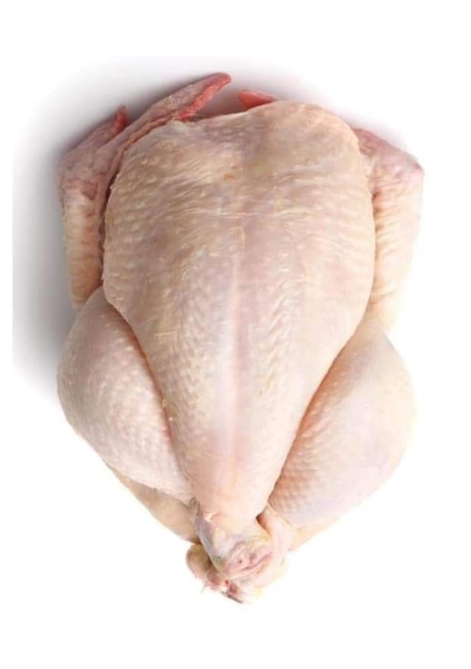Poulet de chaire