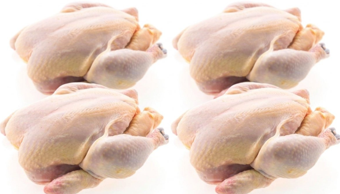 LOT DE 25 POULETS DE CHAIR 1,5Kg BY KONATE