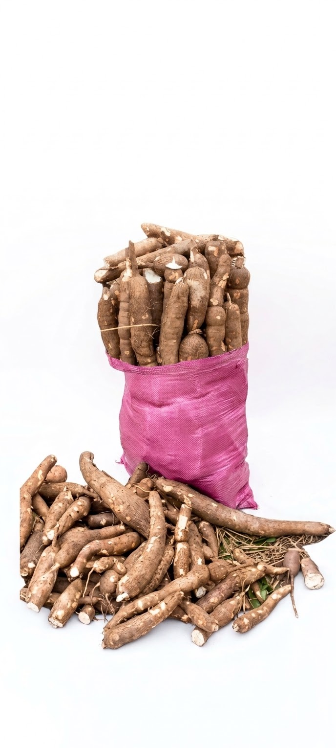 SAC DE MANIOC