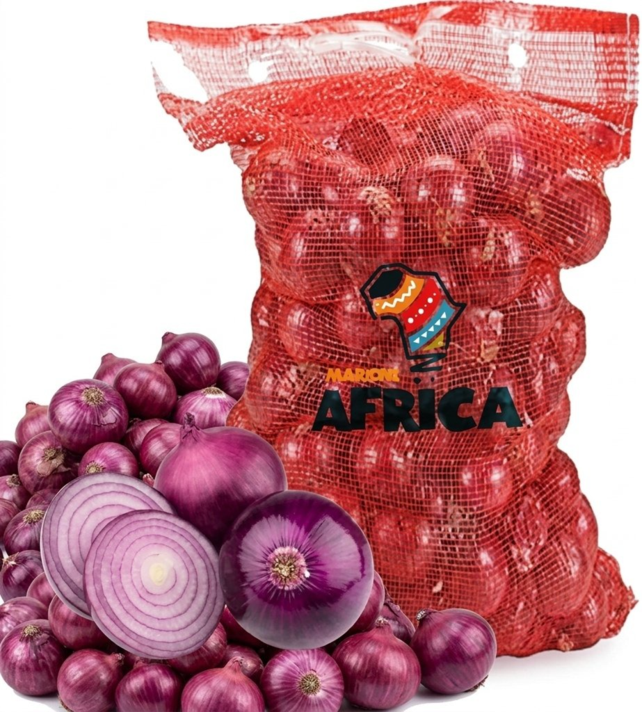 SAC D'OIGNONS VIOLET (25KG) ABIDJAN