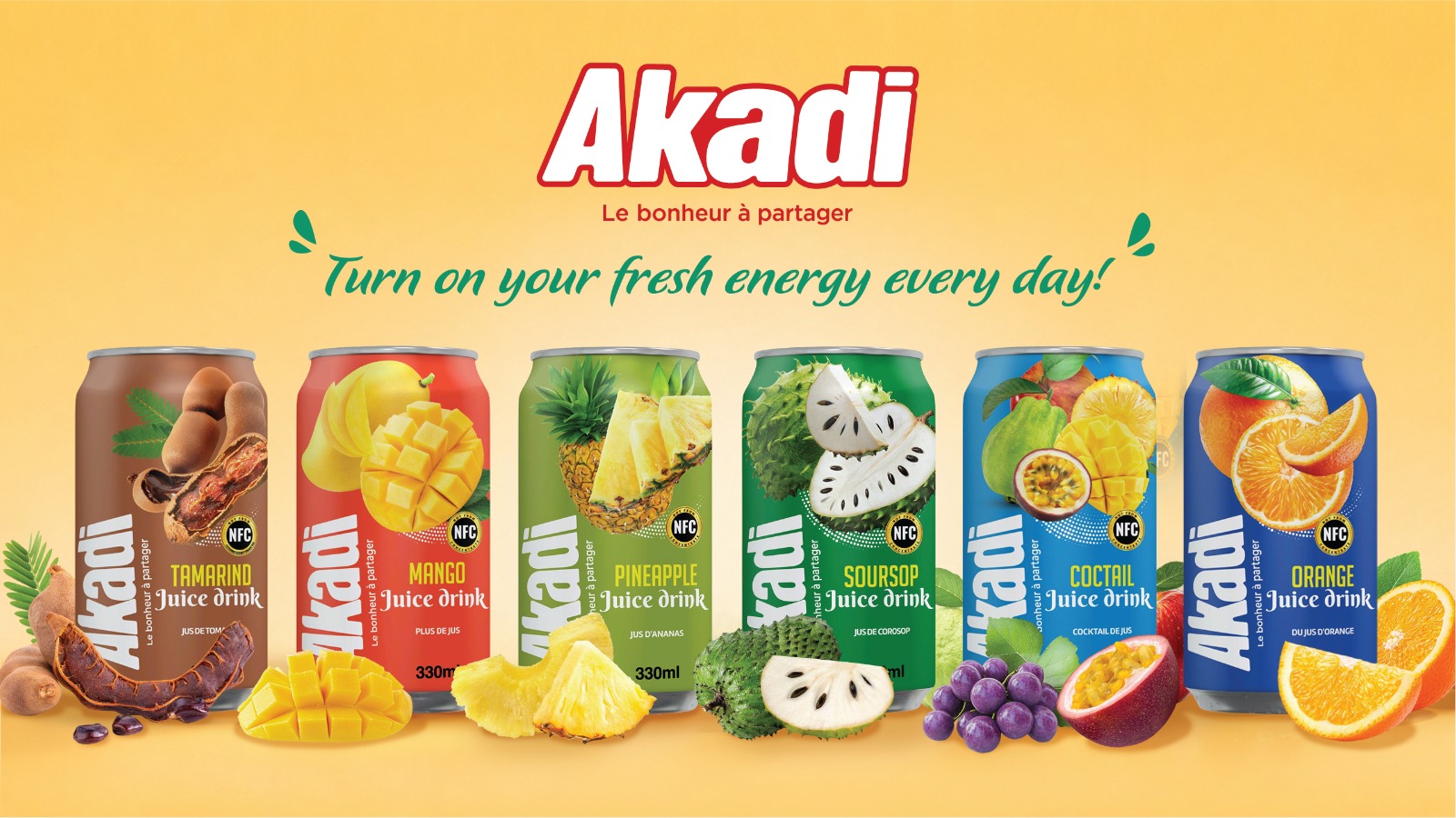 FRUIT JUICE AKADI 24BOITES