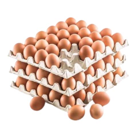 CARTON D'OEUF FRAIS (14 PLAQUETTES)