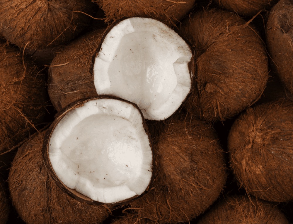 NOIX DE COCO SEC (GOA)