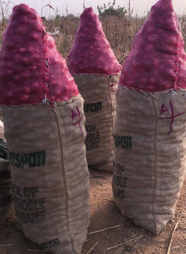 Sac d'oignon violet 100 Kg au Burkina