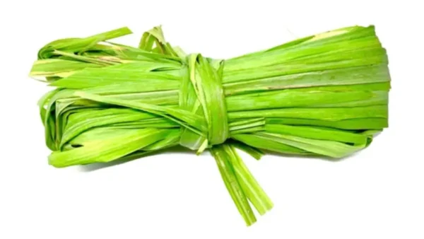 Citronnelle (feuille)