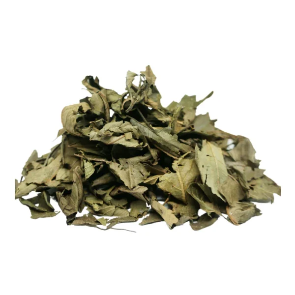 Feuille de Kinkeliba
