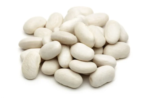 Haricot blanc