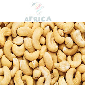 Amande de Cajou Decortiquees