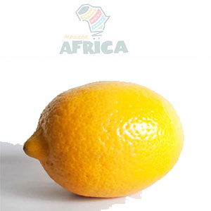 CITRON IMPORTE 1Kg 1