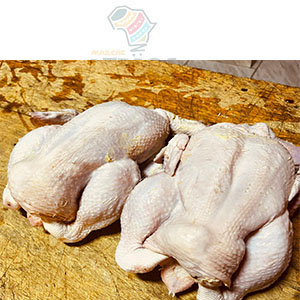 POULET DE CHAIRE SUR MARCHE AFRICA