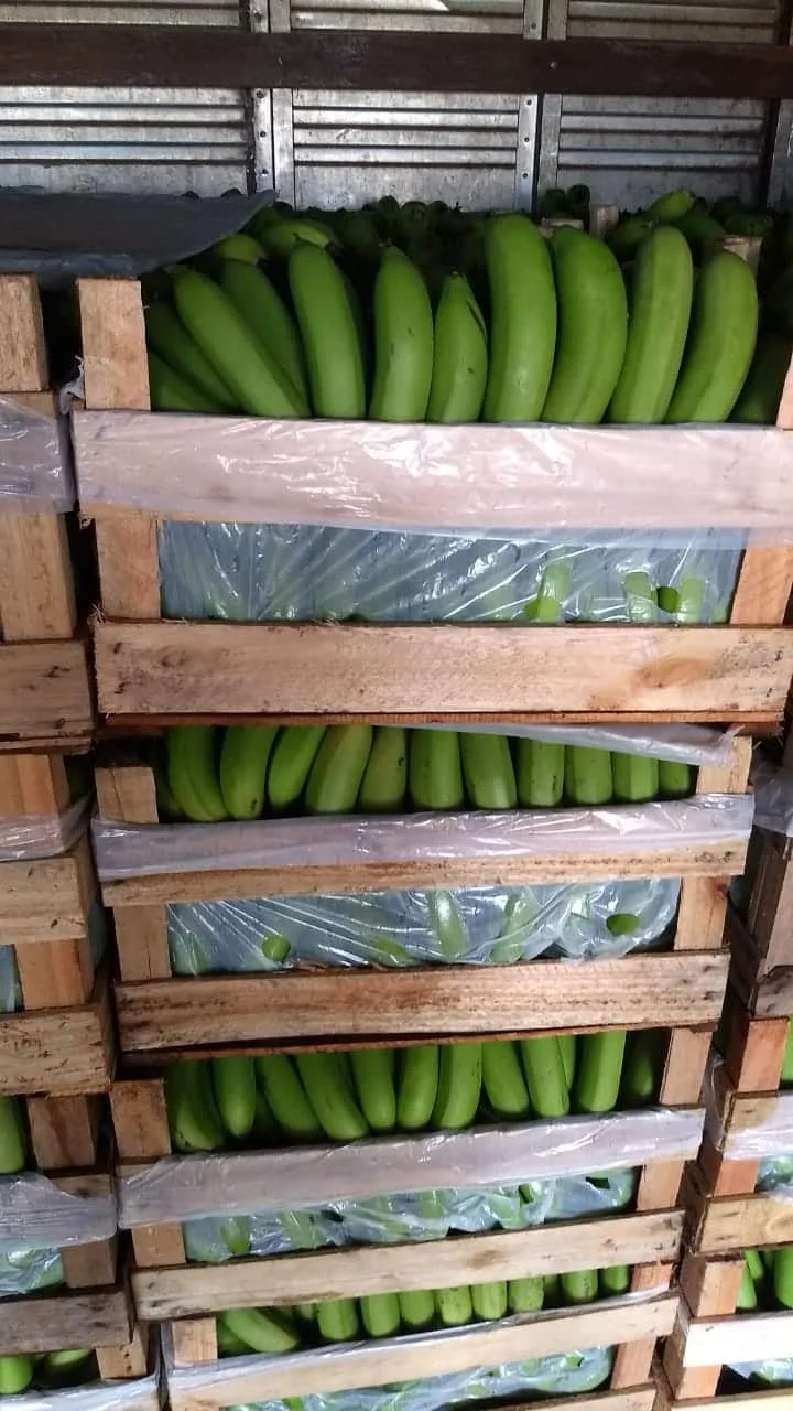 WhatsApp Image 2019 07 10 at 19.57.06