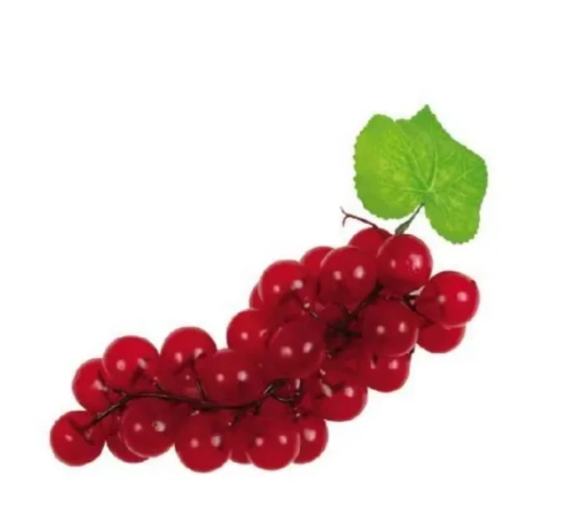 WhatsApp Image 2026 04 07 at 12.16.25