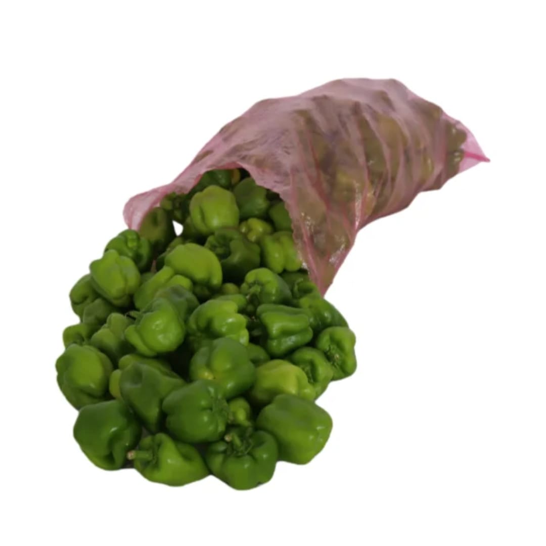 WhatsApp Image 2026 04 08 at 11.17.38