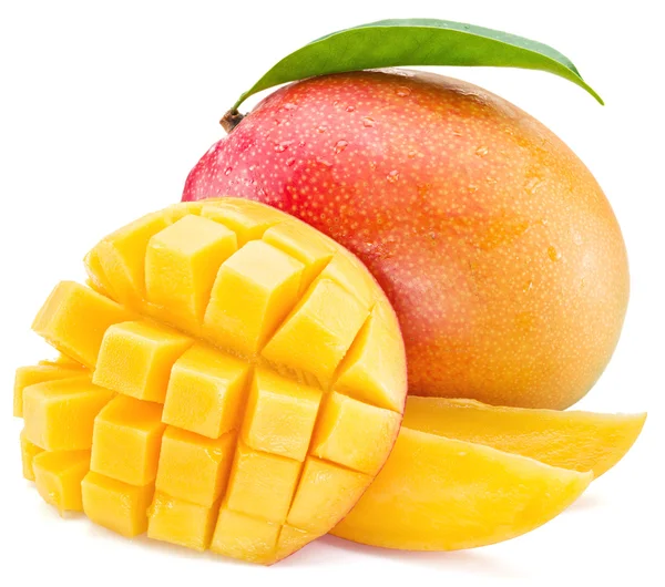 MANGUE KENT QUALITE EXPORT