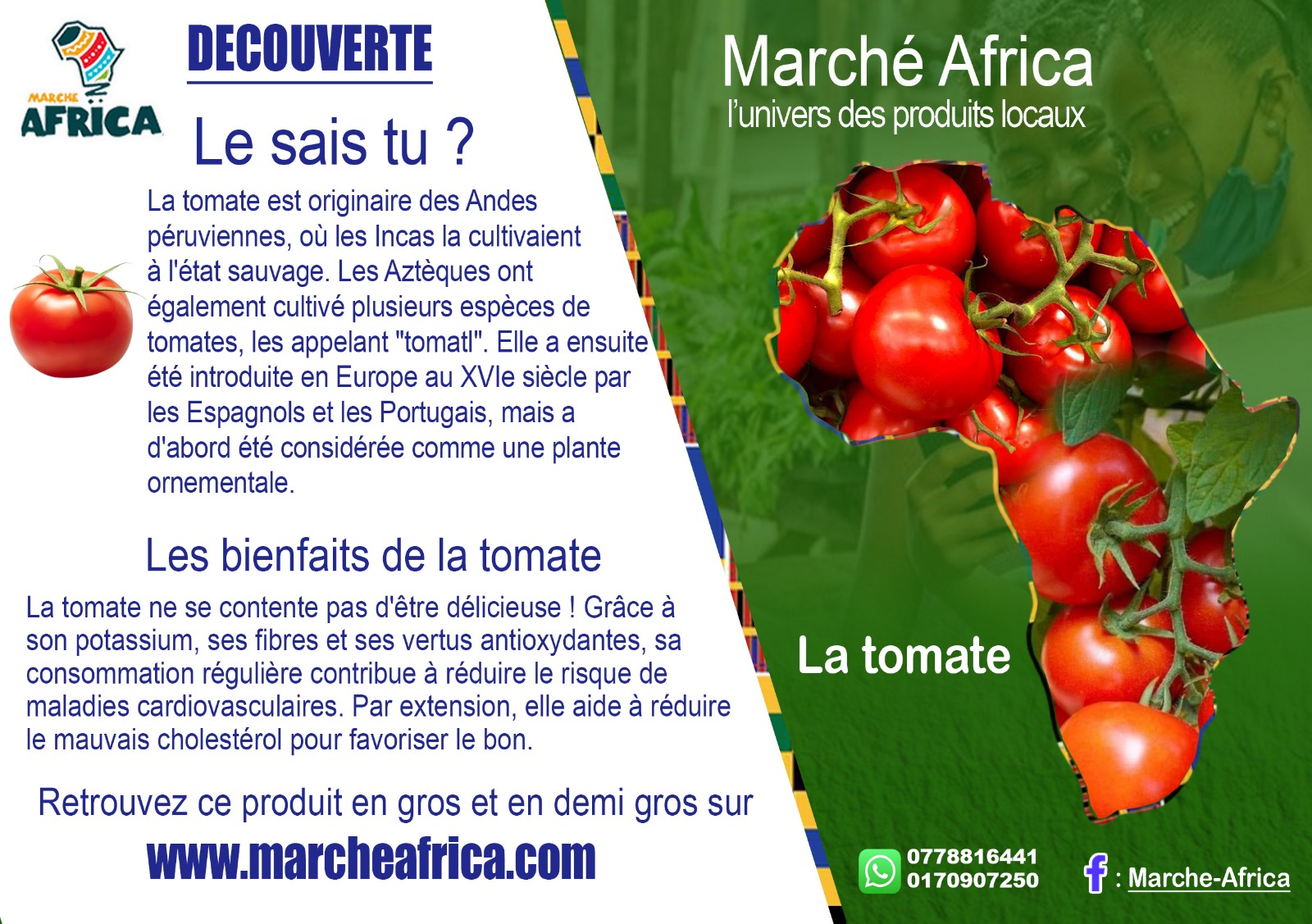 DECOUVERTE TOMATE 