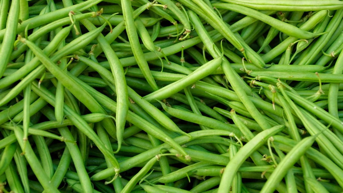 HARICOT VERT
