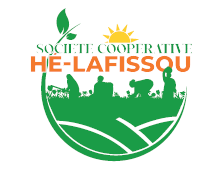 HE-LAFISSOU BOUAKE